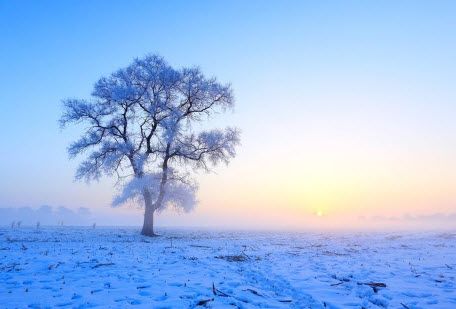 下雪说说|下雪天微信朋友圈说说心情短语